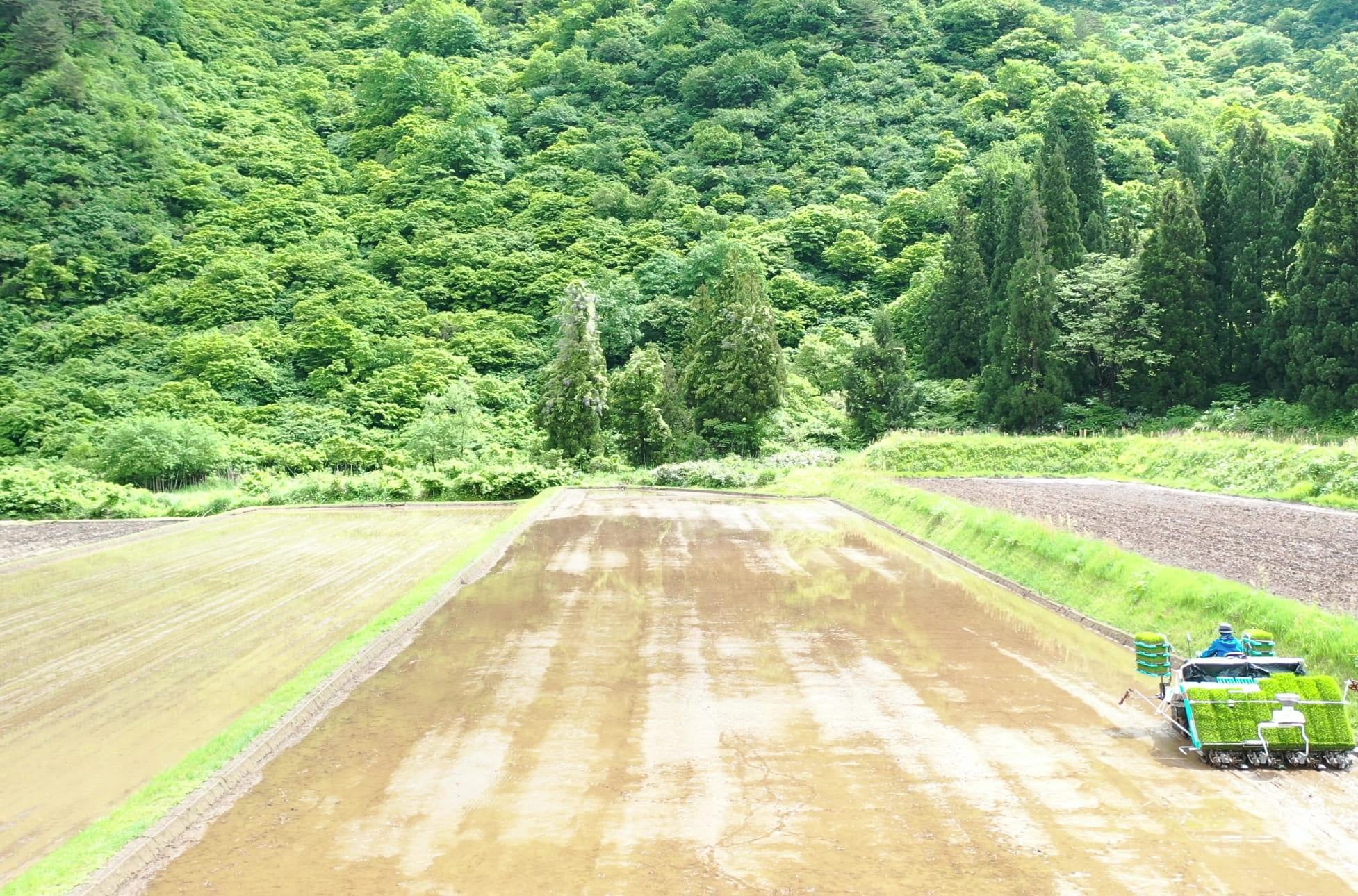 南魚沼産のお米